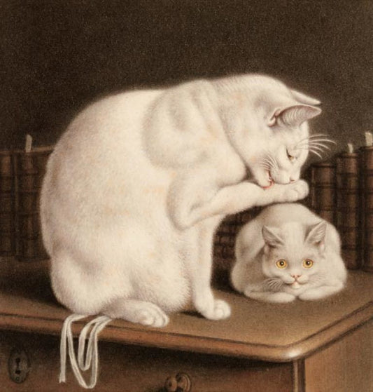 Two White Cats on a Table, vintage artwork by Gottfried Mind, 12x8" (A4) Poster