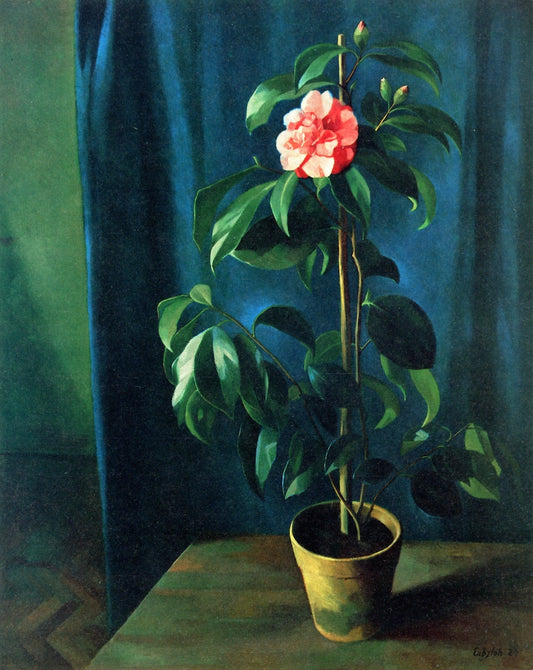Camellia by Adolf Erbslöh,16x12(A3) Poster