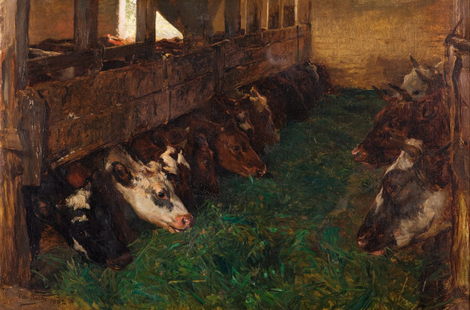 Cattle in the Barn, vintage artwork by Otto Bache, 12x8" (A4) Poster