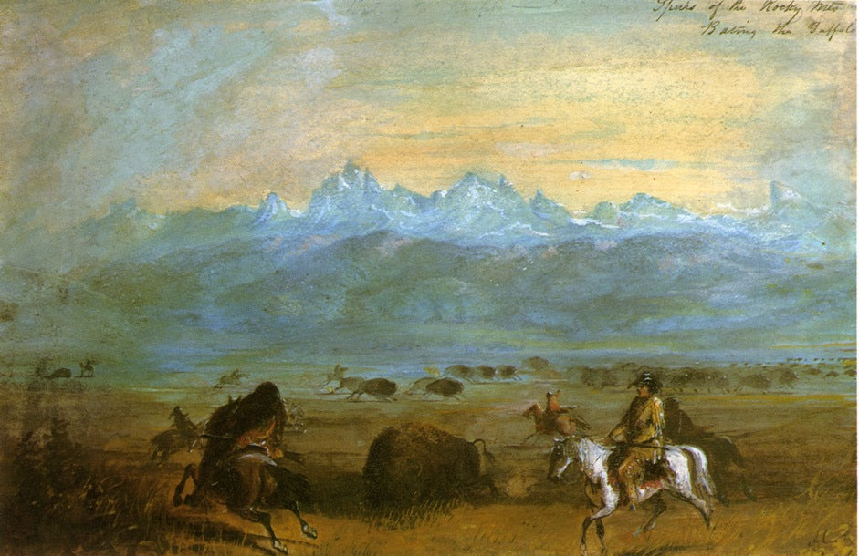 Spurs of the Rocky Mountains - Baiting the Buffalo, vintage artwork by Alfred Jacob Miller, A3 (16x12") Poster Print