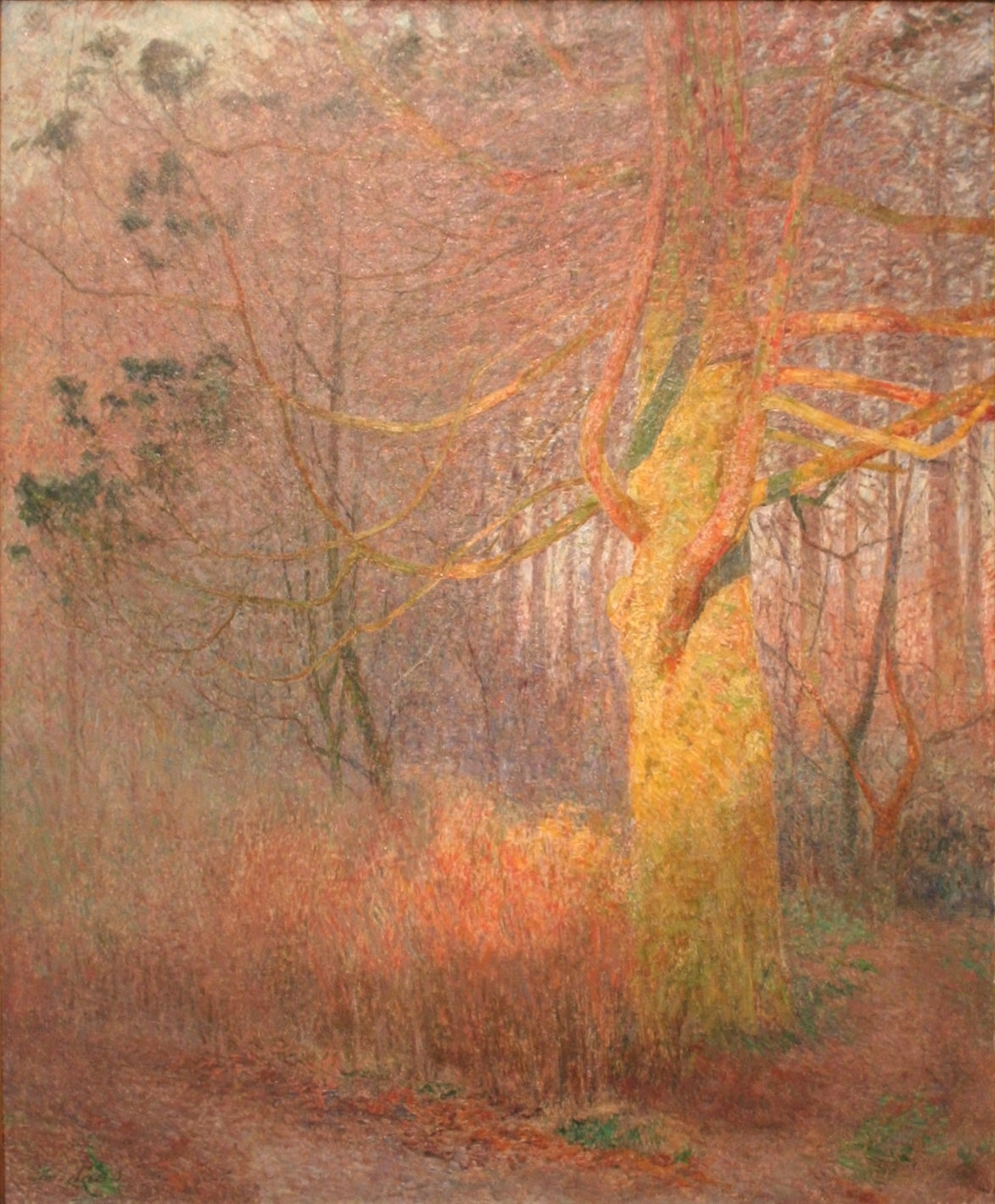 Tree in the Sun, vintage artwork by Emile Claus, 12x8" (A4) Poster