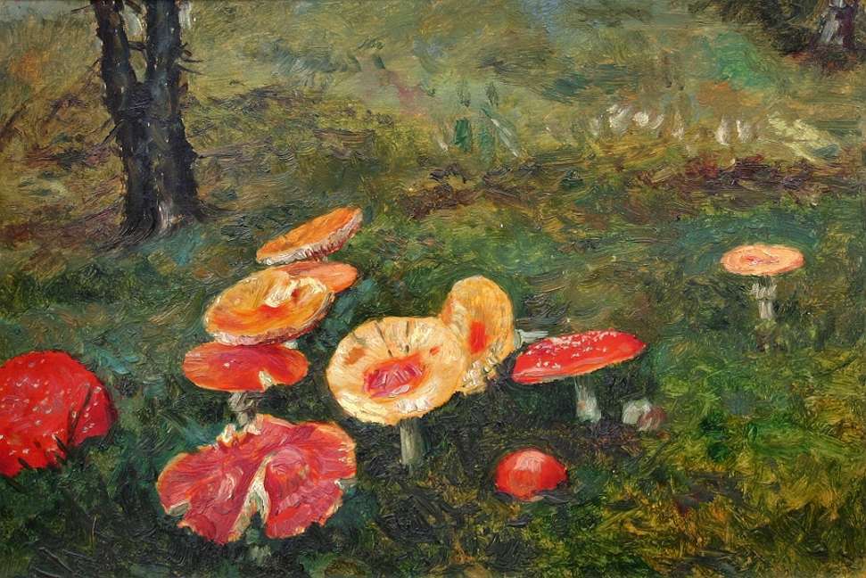 Toadstools by Frantis¡ek Kavan,A3(16x12")Poster
