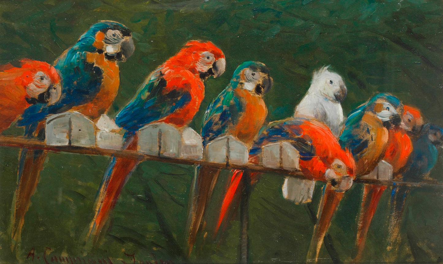 Parrots, vintage artwork by Alceste Campriani, 12x8" (A4) Poster
