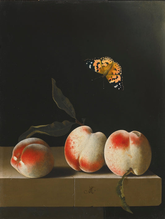 Three Peaches on a Stone Ledge with a Red Admiral Butterfly, vintage artwork by Adriaen Coorte, 12x8" (A4) Poster