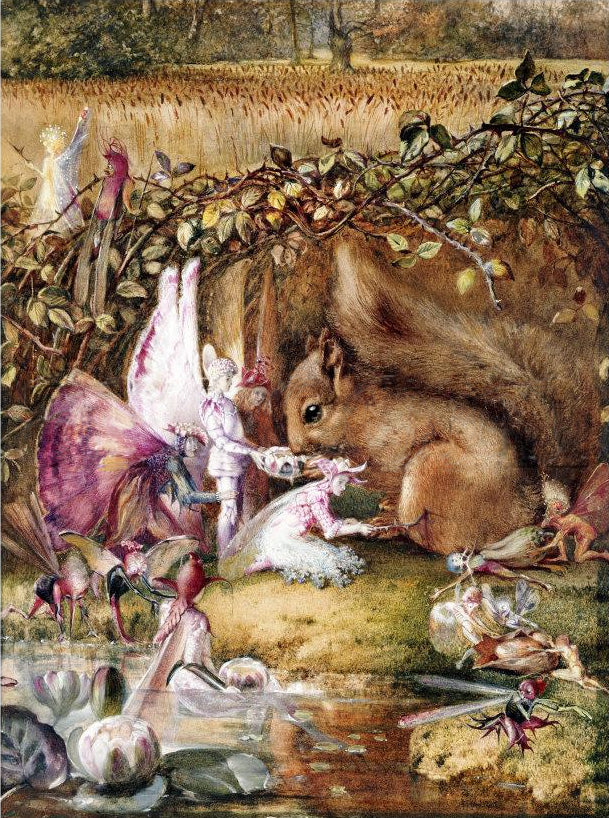 The Wounded Squirrel, vintage artwork by John Anster Christian Fitzgerald, A3 (16x12") Poster Print