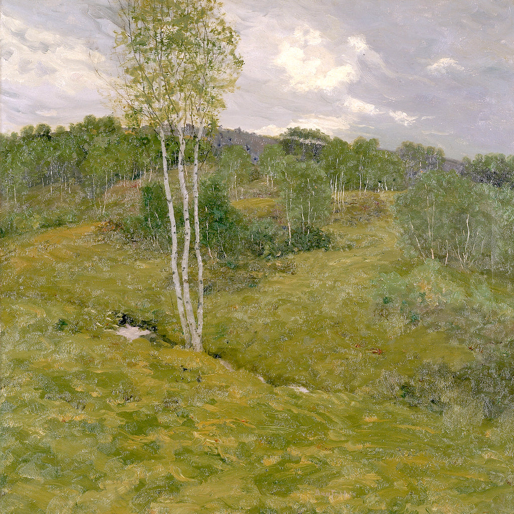 Birch-Clad Hills by Ben Foster,A3(16x12")Poster