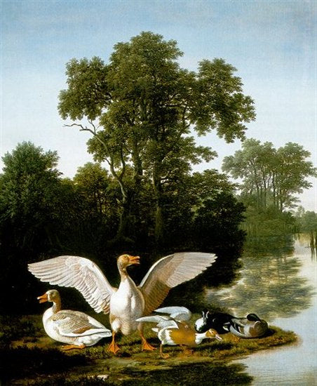 Waterbirds in a Landscape, vintage artwork by Joris van der Haagen, 12x8" (A4) Poster