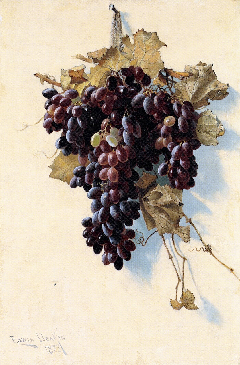 Still LIfe with Grapes, vintage artwork by Edwin Deakin, 12x8" (A4) Poster
