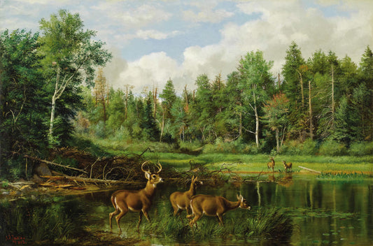 Good Hunting Ground: The Home of the Deer, vintage artwork by Arthur Fitzwilliam Tait, A3 (16x12") Poster Print