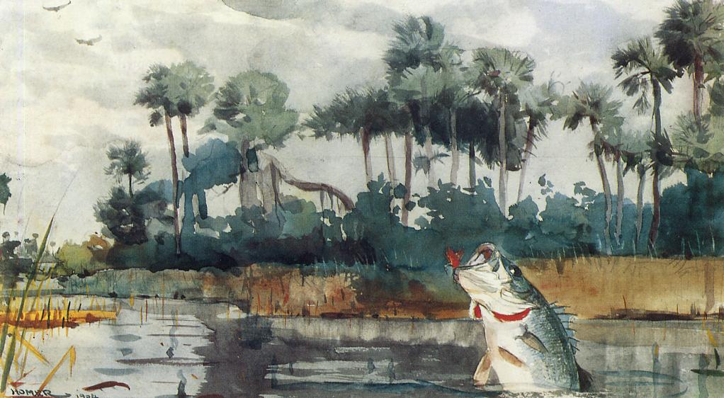 Black Bass, Florida, vintage artwork by Winslow Homer, 12x8" (A4) Poster