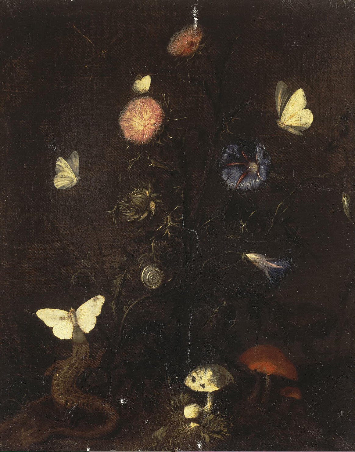 Flowers, Lizard and Butterflies, vintage artwork by Christiaen Striep, 12x8" (A4) Poster