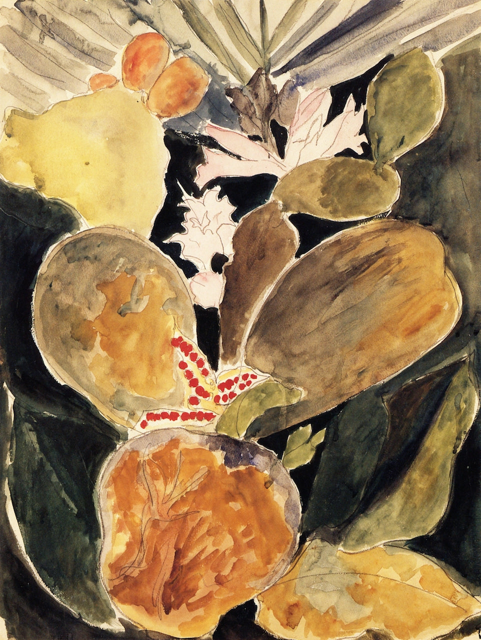 Flowering Tropical Cactus, vintage artwork by Joseph Stella, 12x8" (A4) Poster