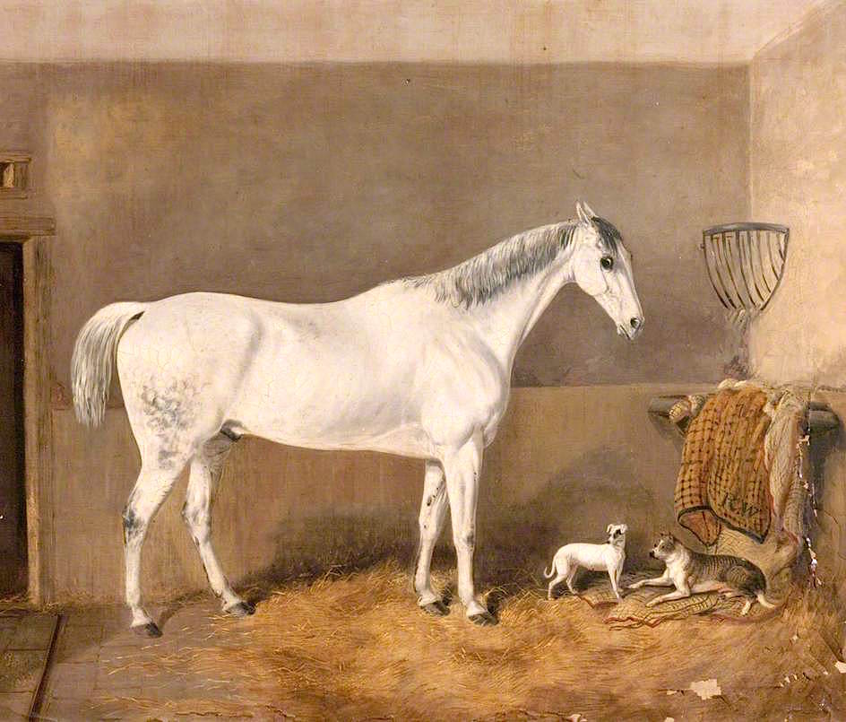 Grey Hunter Owned by  Mr Robert White, vintage artwork by Thomas Walker Bretland, A3 (16x12") Poster Print