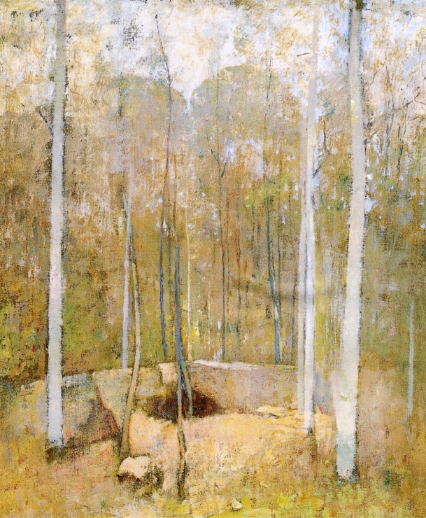 Autumn Forest by Emil (Soren Emil) Carlsen,A3(16x12")Poster