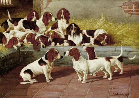 A pack of Basset Hounds by Valentine Thomas Garland,A3(16x12")Poster