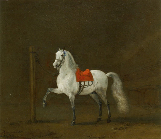 A Grey Horse in a Stable, vintage artwork by Philips Wouwerman, 12x8" (A4) Poster