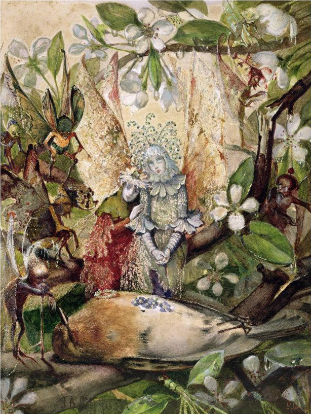 The Death of Cock Robin, vintage artwork by John Anster Christian Fitzgerald, A3 (16x12") Poster Print