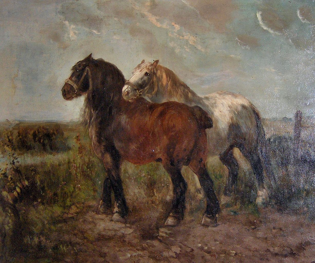 Brabant draught horses by Henry Schouten,A3(16x12")Poster