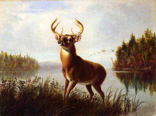 Eight Point Stag, vintage artwork by Arthur Fitzwilliam Tait, A3 (16x12") Poster Print
