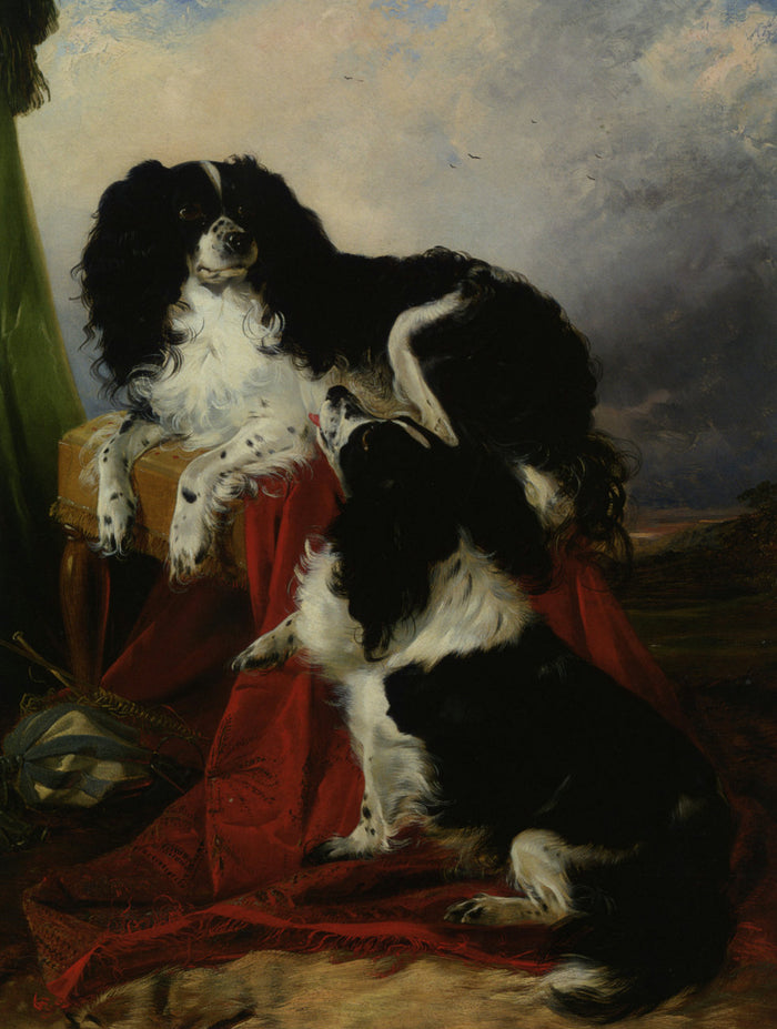 King Charles Spaniels, vintage artwork by Richard Ansdell, A3 (16x12