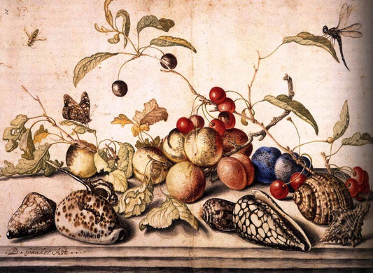Still-Life with Plums, Cherries, and Shells, vintage artwork by Balthasar van der Ast, 12x8" (A4) Poster