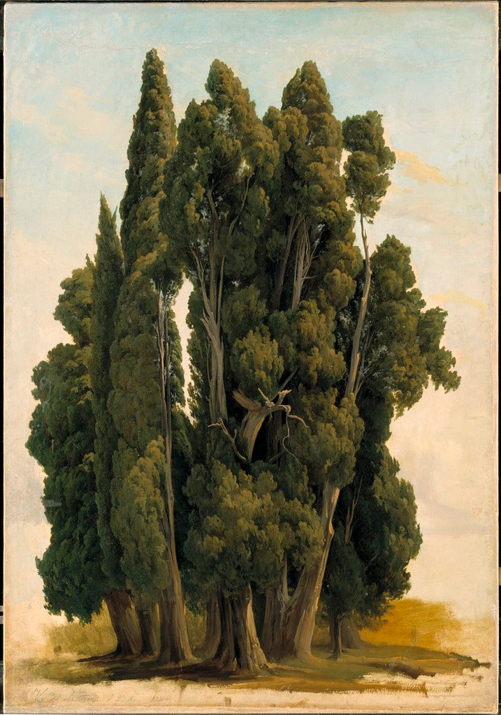 Cypresses. Study, vintage artwork by Gustaf Wilhelm Palm, A3 (16x12") Poster Print