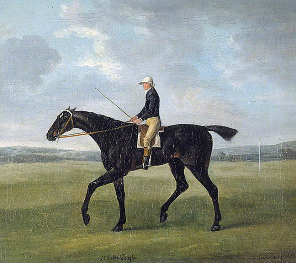 Sir Peter Teazle, vintage artwork by John Nost Sartorius, 12x8" (A4) Poster