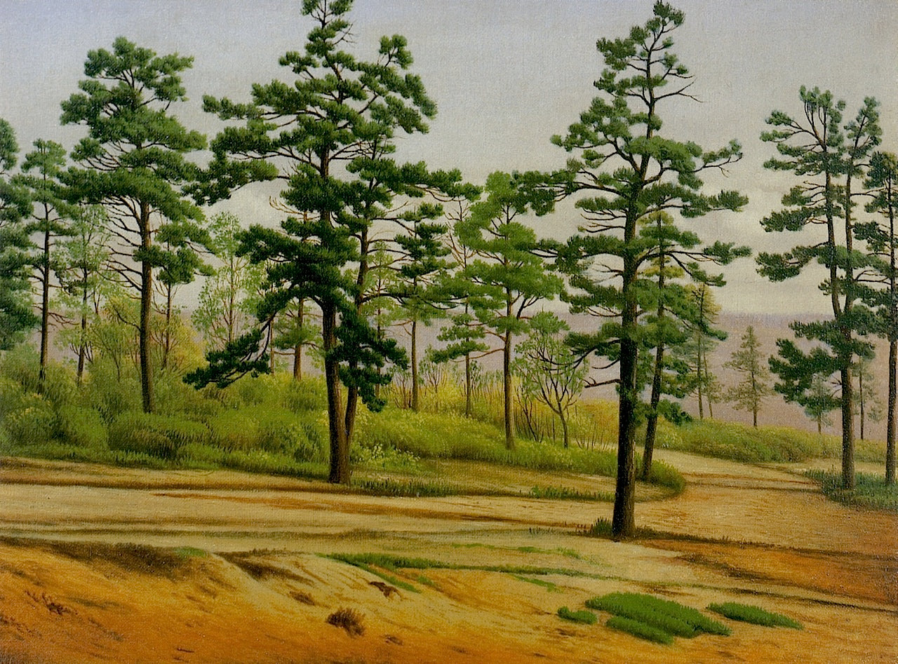Pine Trees along a Deserted Road by Levi Wells Prentice,A3(16x12")Poster