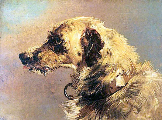 Head of a Deer Hound, vintage artwork by Sir Edwin Landseer, A3 (16x12") Poster Print