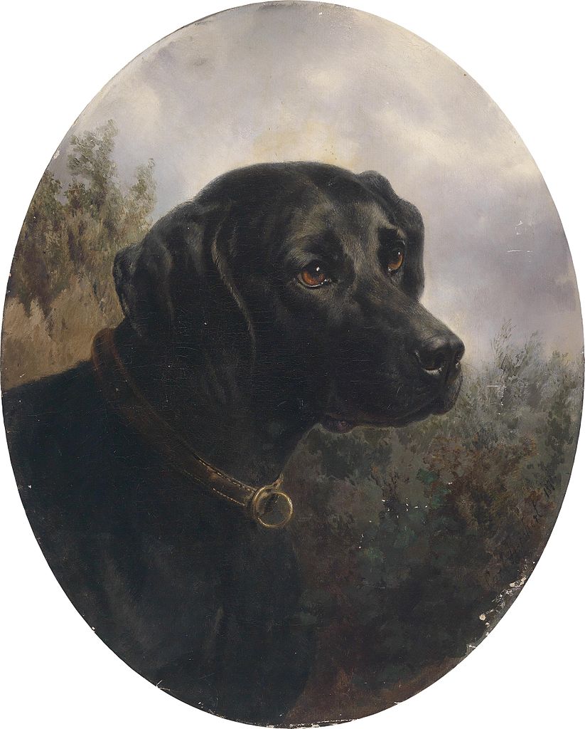 Hector, vintage artwork by Carl Reichert, 12x8" (A4) Poster