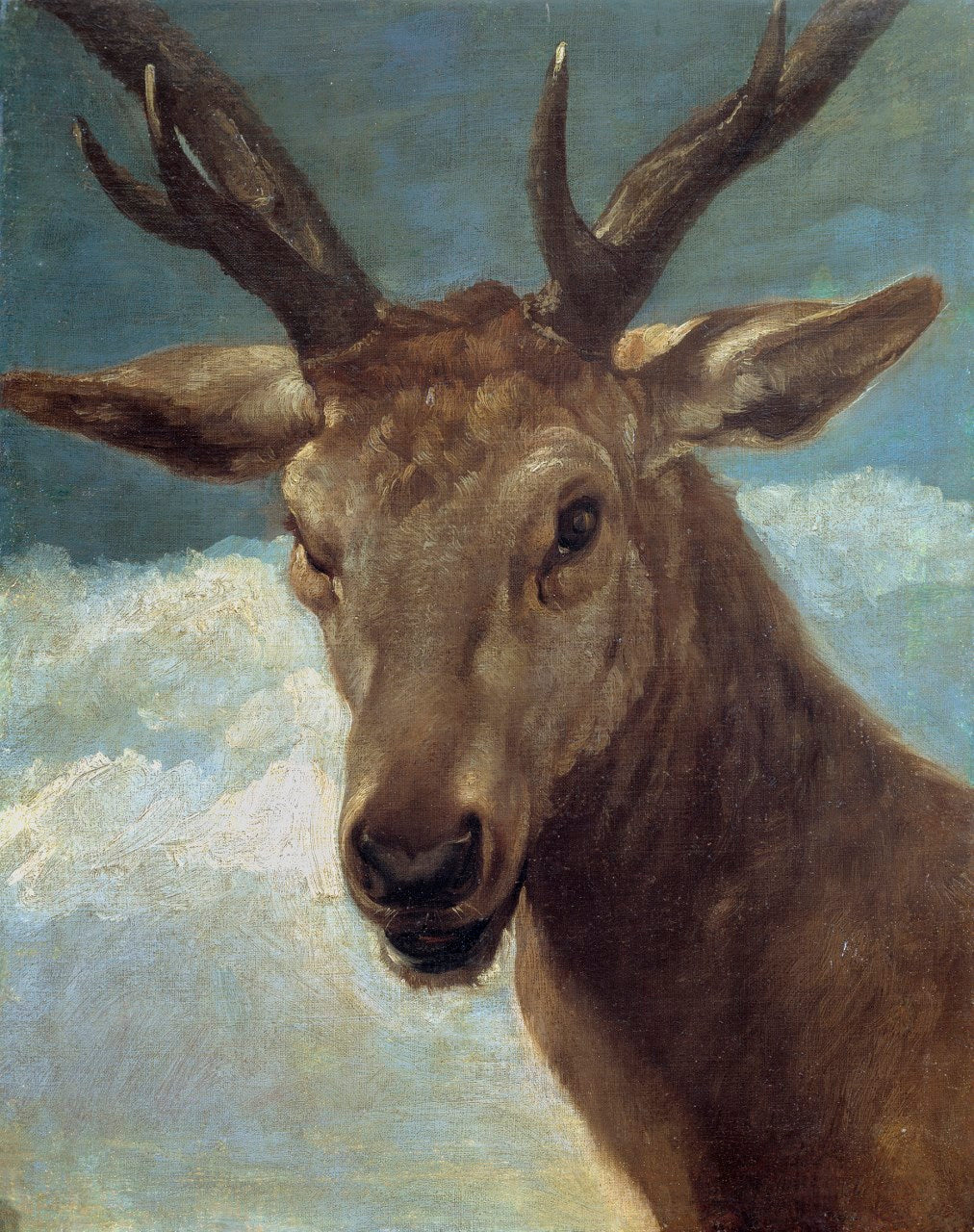 Head of a Buck, vintage artwork by Diego Velázquez, 12x8" (A4) Poster