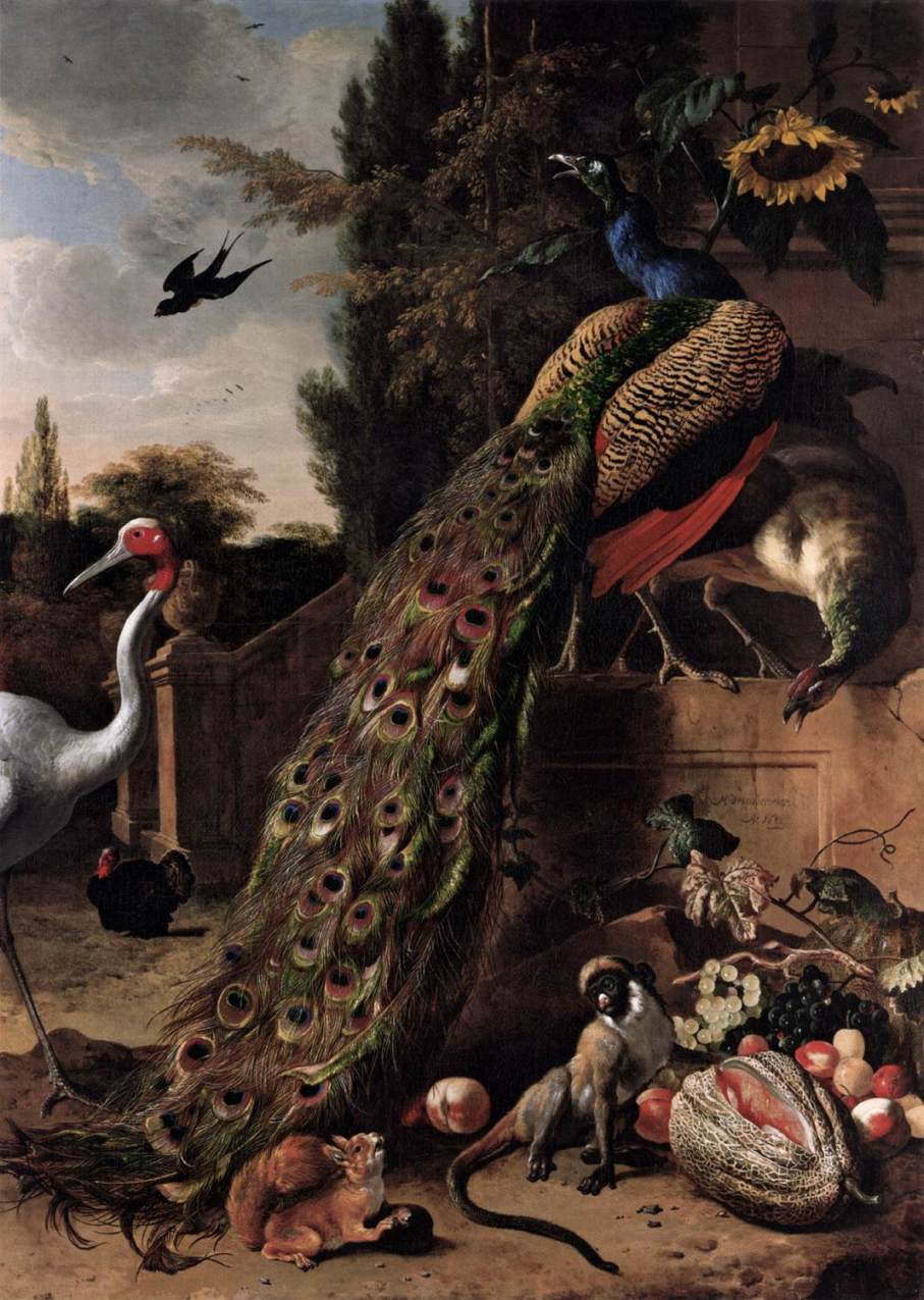 Peacocks, vintage artwork by Melchior d'Hondecoeter, 12x8" (A4) Poster