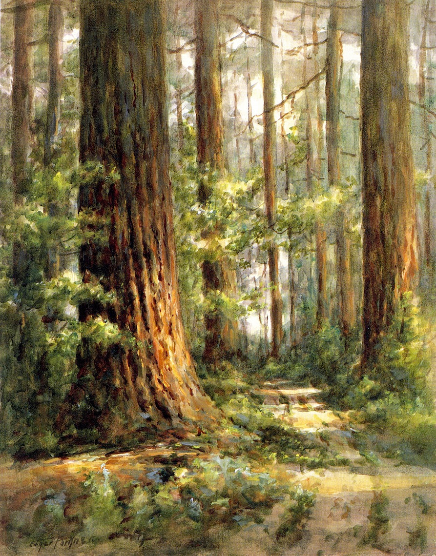Pines, vintage artwork by Edgar Forkner, 12x8" (A4) Poster