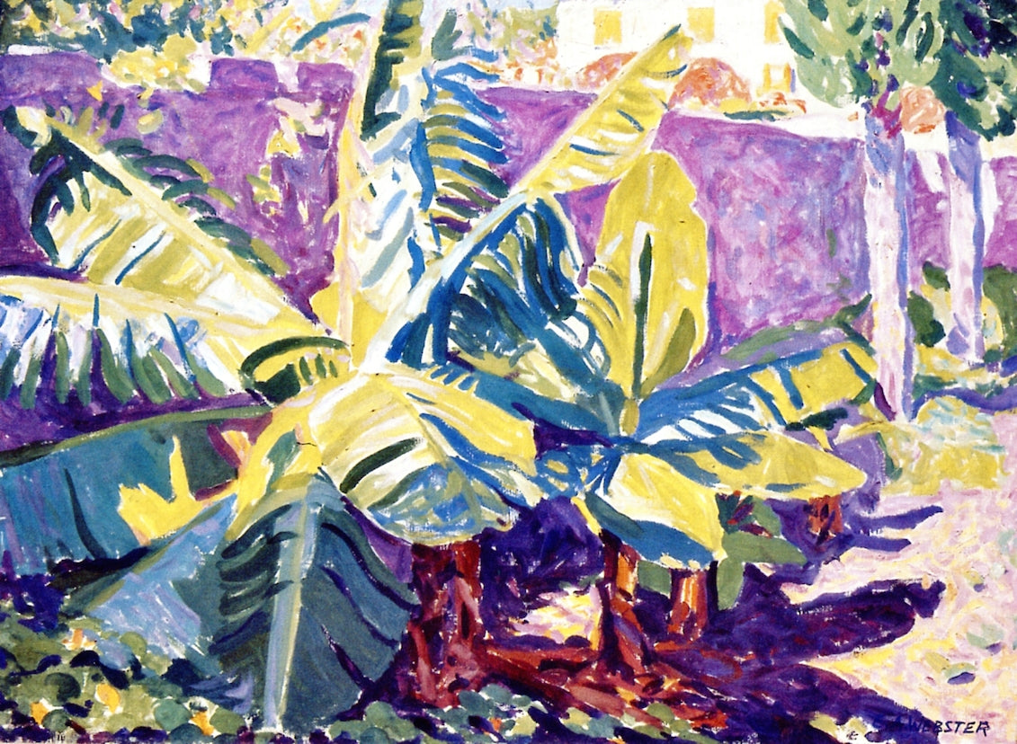 Banana Tree, Jamaica by Edwin Ambrose Webster,A3(16x12")Poster