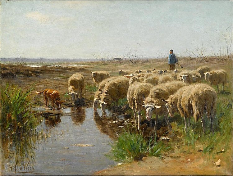 Sheep Watering, vintage artwork by Hermanus Johannes van der Weele, 12x8" (A4) Poster
