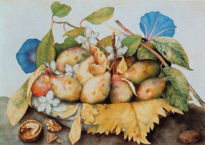 Dish with Plums, Jasmine and Nuts, vintage artwork by Giovanna Garzoni, 12x8" (A4) Poster