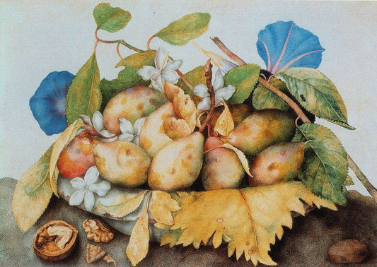 Dish with Plums, Jasmine and Nuts, vintage artwork by Giovanna Garzoni, 12x8" (A4) Poster