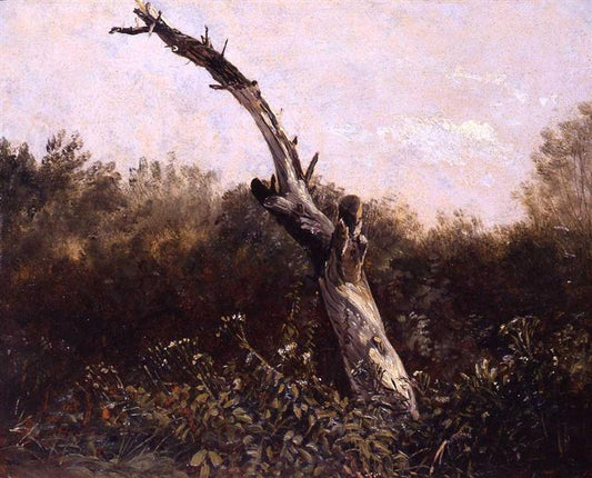 Study of a Dead Tree, vintage artwork by Carl Gustav Carus, A3 (16x12") Poster Print