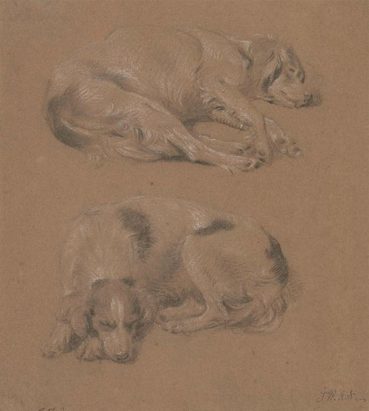 Studies of Dogs, vintage artwork by James Ward, 12x8" (A4) Poster