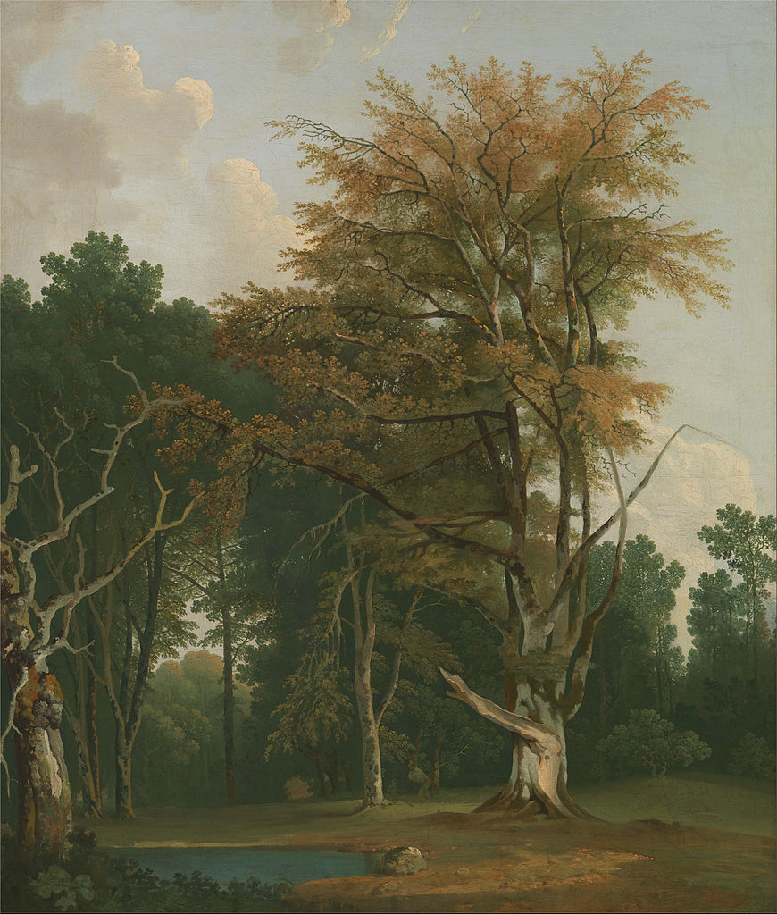 Trees in a Woodland Glade, vintage artwork by Attributed to Joseph Farington, R.A., 12x8" (A4) Poster