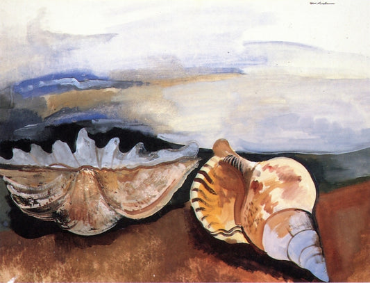 Scallop and Conch, vintage artwork by Felix Nussbaum, 12x8" (A4) Poster