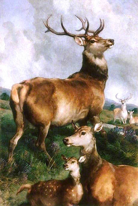 Deer of Chillingham Park, Northumberland, vintage artwork by Sir Edwin Landseer, A3 (16x12") Poster Print