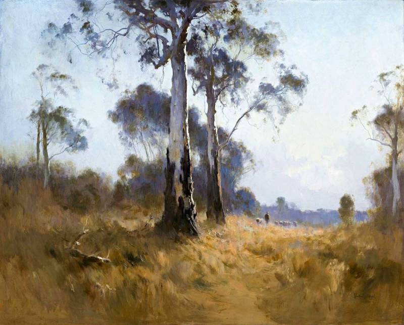 Ghost Gum at Kangaroo Flat by Penleigh Boyd,16x12(A3) Poster
