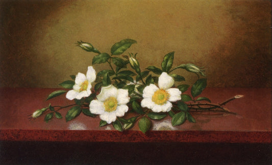 Cherokee Roses on a Shiney Table, vintage artwork by Martin Johnson Heade, A3 (16x12") Poster Print
