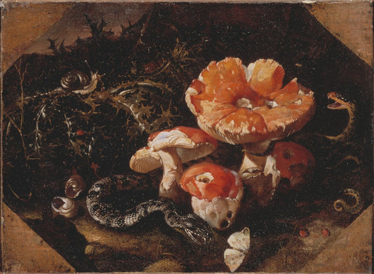 Still Life with Serpents, Fly Agarics and Thistles, vintage artwork by Paolo Porpora, 12x8" (A4) Poster