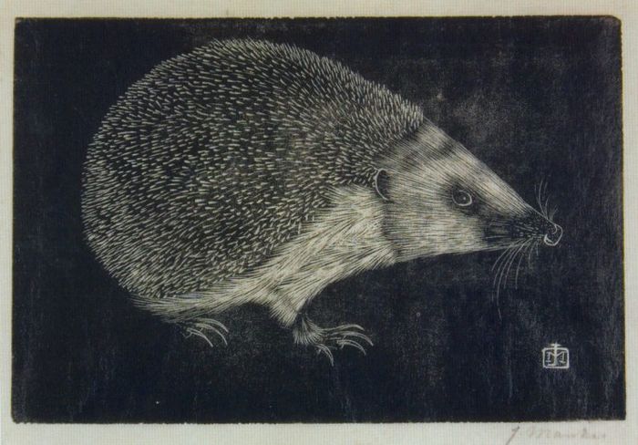 The Hedgehog, vintage artwork by Jan Mankes, 12x8" (A4) Poster