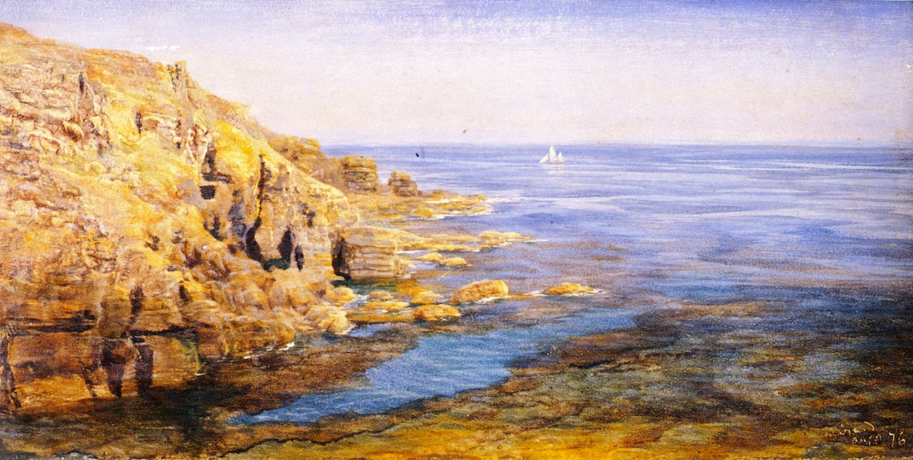 Lizard, vintage artwork by John Edward Brett, A.R.A., 12x8" (A4) Poster