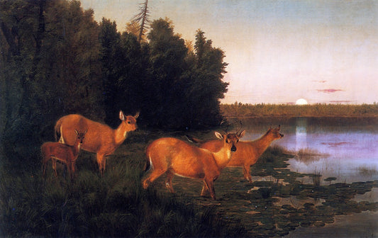 Deer at Dawn, vintage artwork by William Jacob Hays, 12x8" (A4) Poster