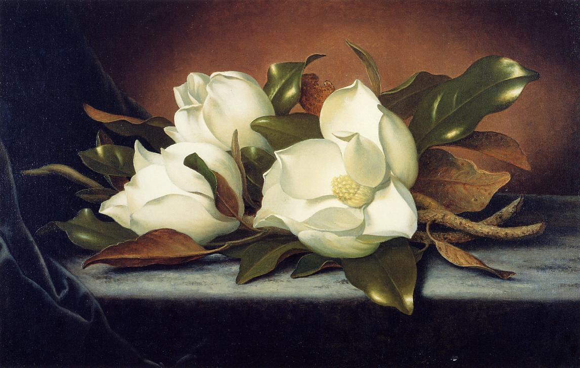 Giant Magnolias, vintage artwork by Martin Johnson Heade, A3 (16x12") Poster Print