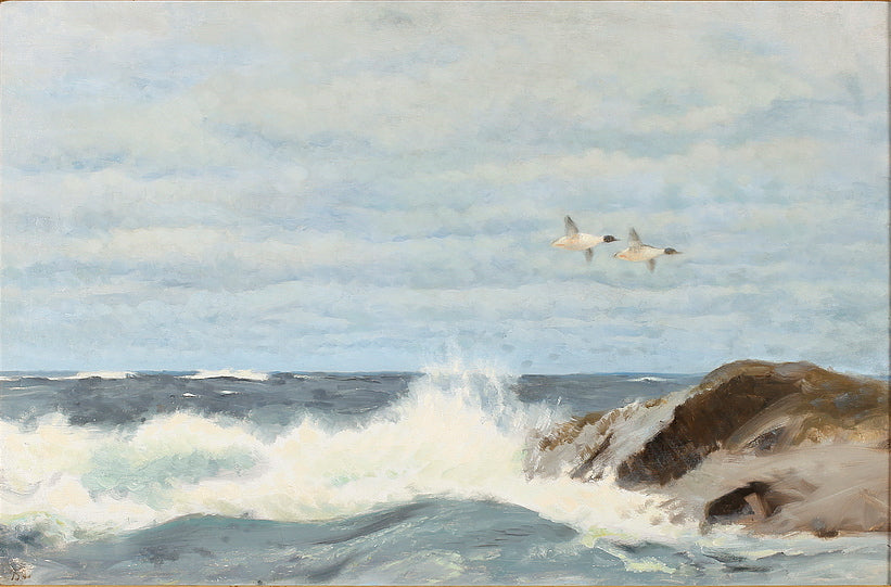 Waterfowl Flying Over the Rocks, vintage artwork by Bruno Liljefors, 12x8" (A4) Poster